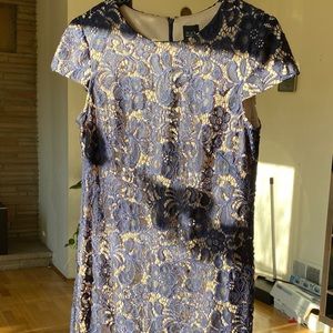 Blue lace mid dress